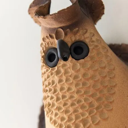 Les Ecologites De * La Rochelle (Charente-Maritime)