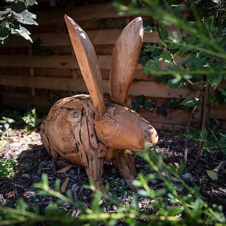 Les Ecologites De Lejlighed La Rochelle (Charente-Maritime)