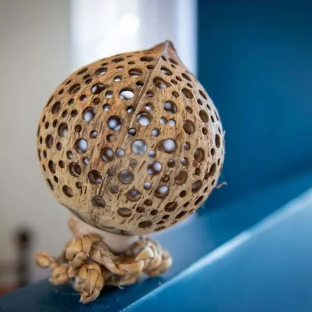 Les Ecologites De Lejlighed La Rochelle (Charente-Maritime)