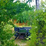 Les Ecologites De Lejlighed *