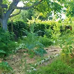 Les Ecologites De *