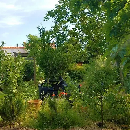 Les Ecologites De Lejlighed La Rochelle (Charente-Maritime)