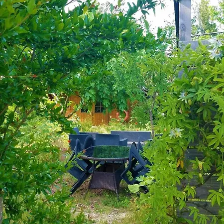 Les Ecologites De Appartamento *