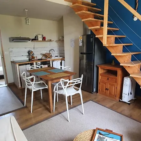 Les Ecologites De Appartement