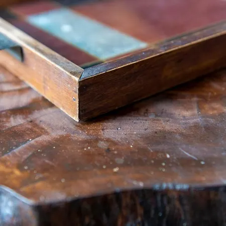 Les Ecologites De * La Rochelle (Charente-Maritime)