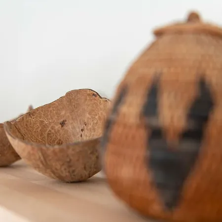 Les Ecologites De * La Rochelle (Charente-Maritime)