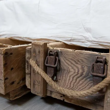 Les Ecologites De Appartement *