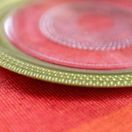 Les Ecologites De La Rochelle (Charente-Maritime)