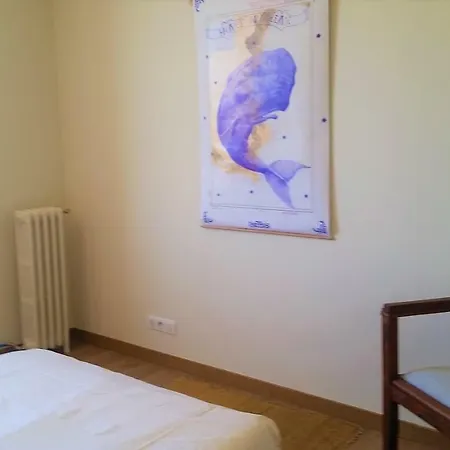 Les Ecologites De Appartement