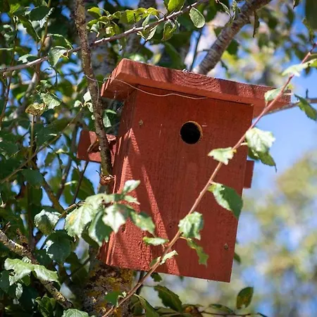 Les Ecologites De Appartement